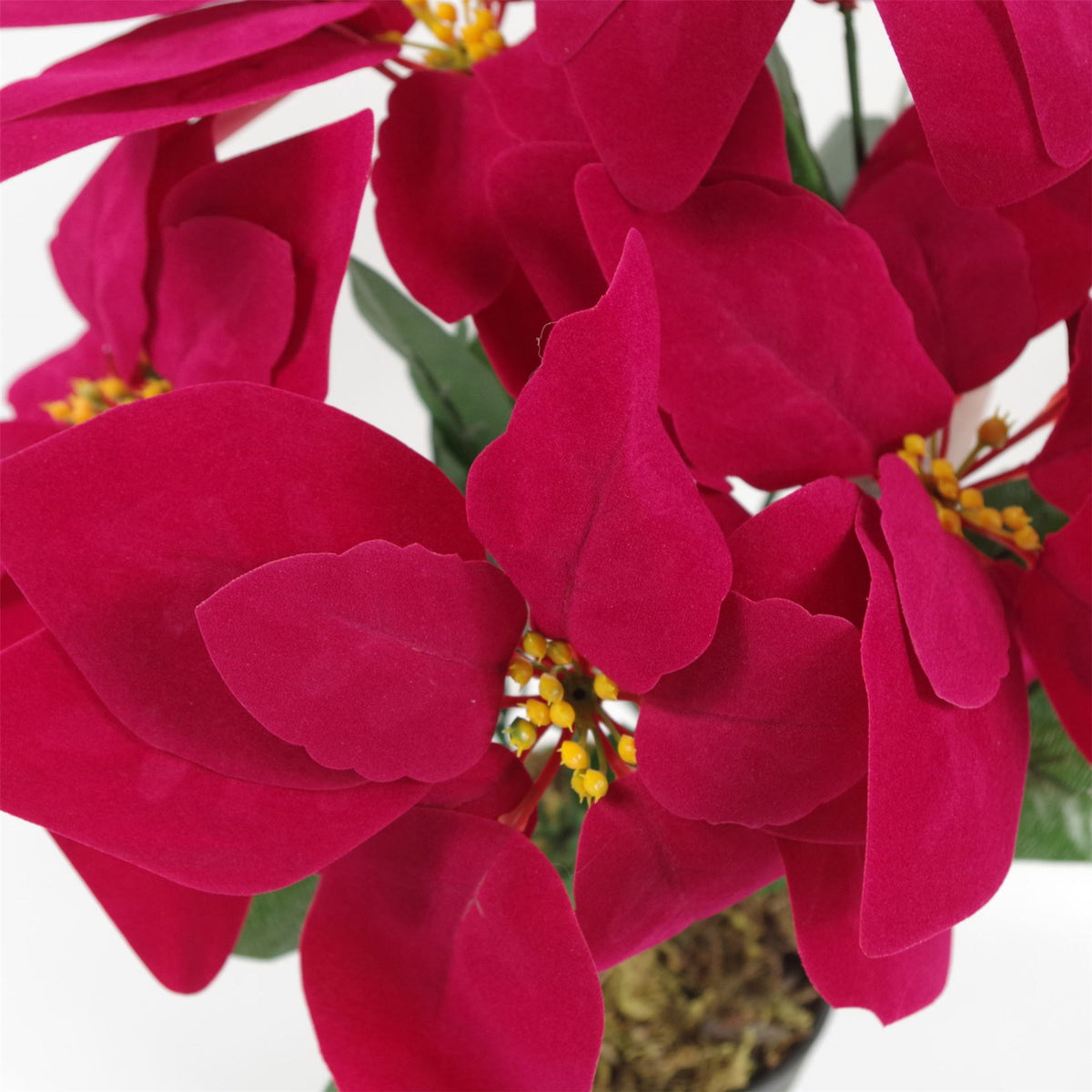 Artificial Red Poinsettia in a Weighted Pot, 40cm - APA Pure Living