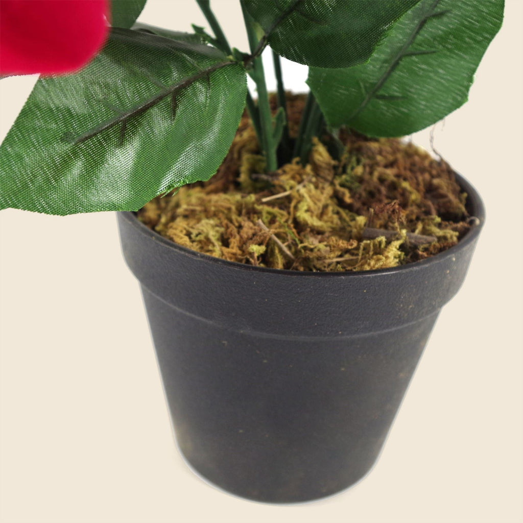Artificial Red Poinsettia in a Weighted Pot, 40cm - APA Pure Living