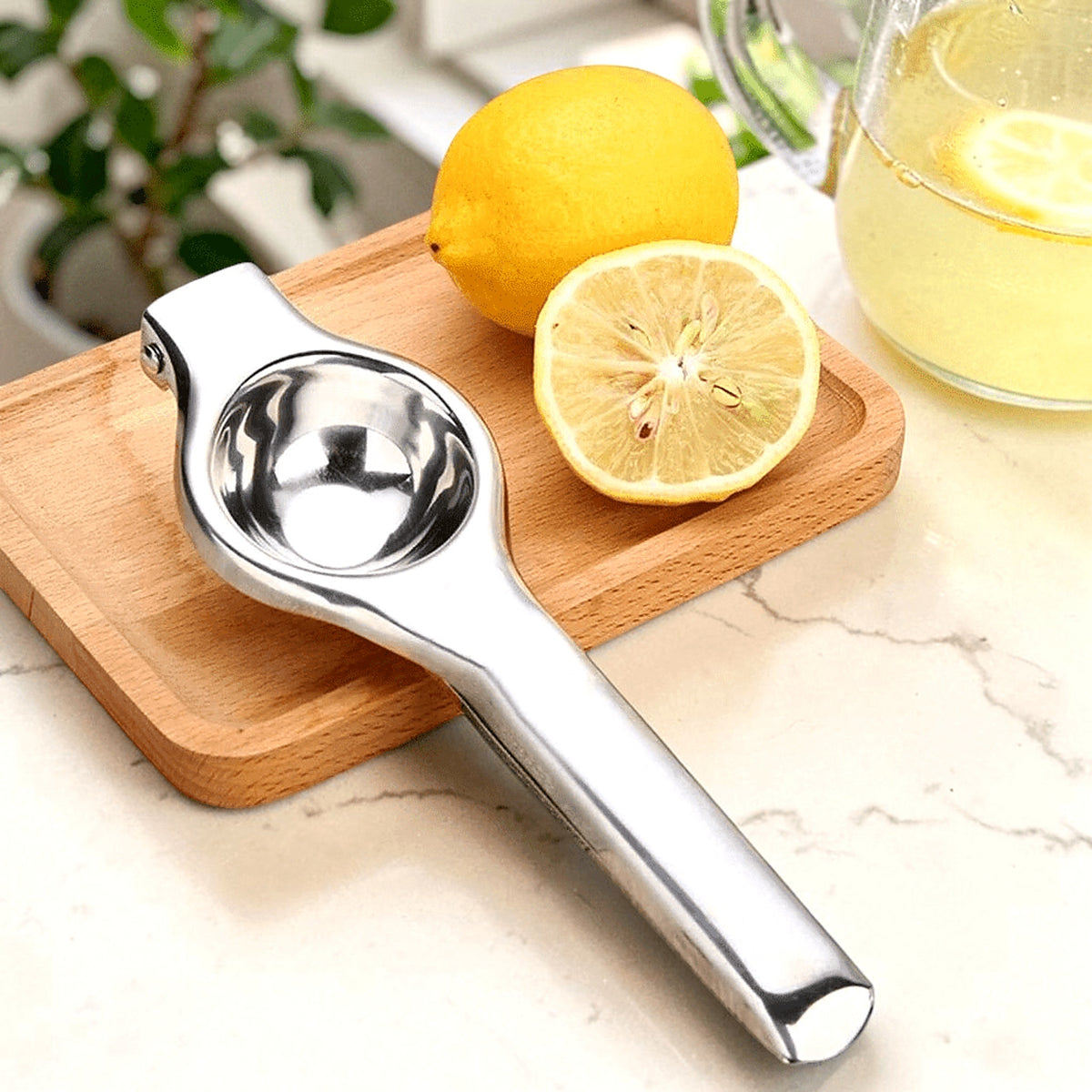 Stainless steel lemon squeezer with lemons