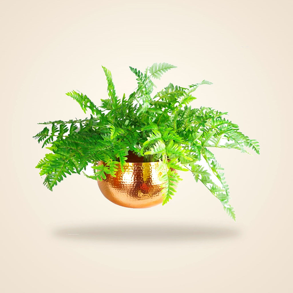 Large Hammered Copper-Finish Metal Planter Bowl, 32 × 20 cm - view 4