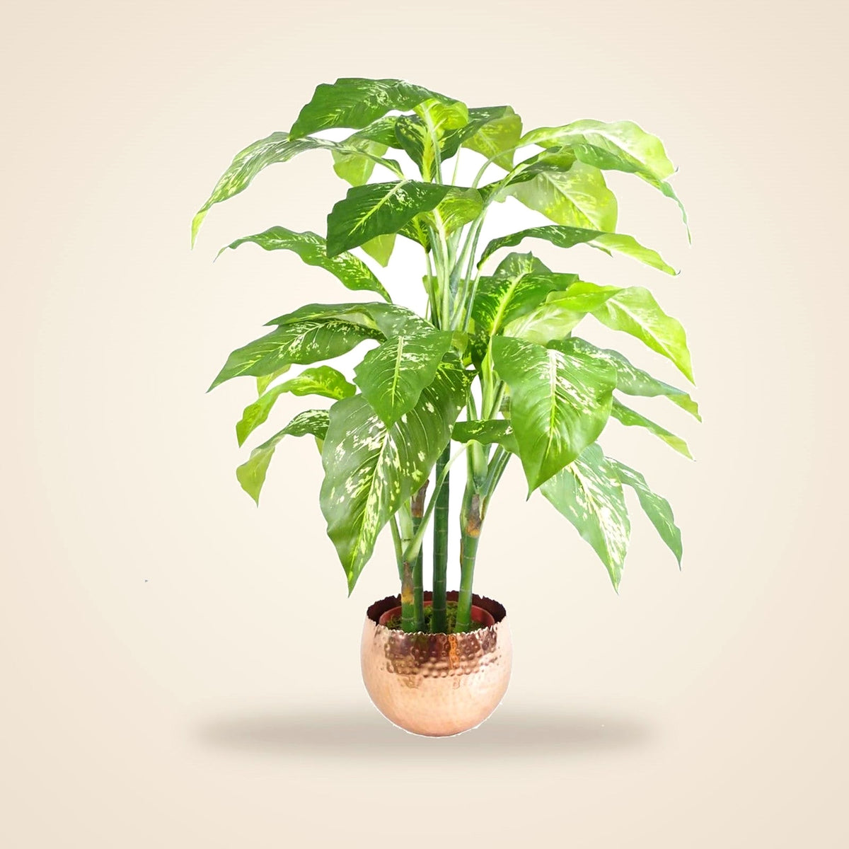 Hammered Copper-Finish Metal Planter, Curved Edge, 22 × 17 cm - view 2