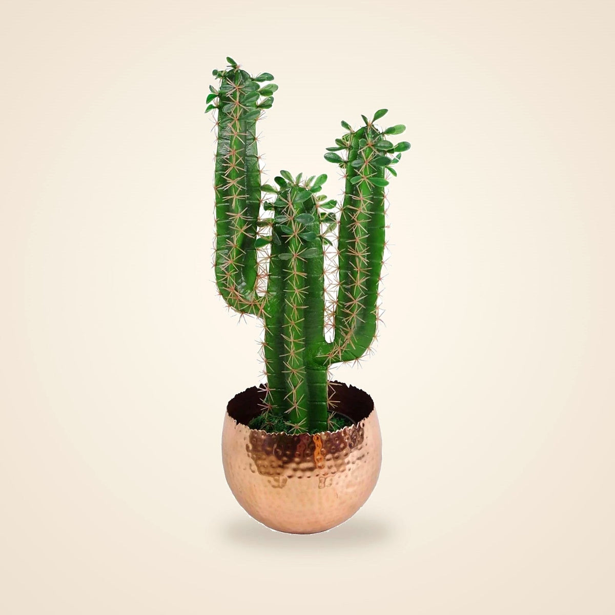 Hammered Copper-Finish Metal Planter, Curved Edge, 22 × 17 cm - view 5