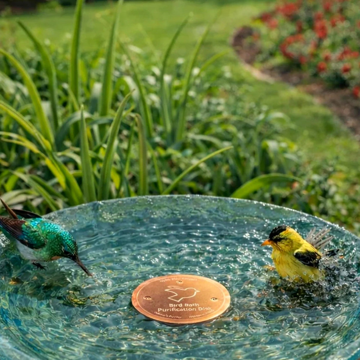 Solid Copper Disc for Bird Baths and Water Features - view 3