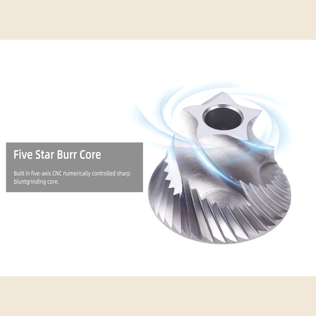 Stainless steel conical burr close-up